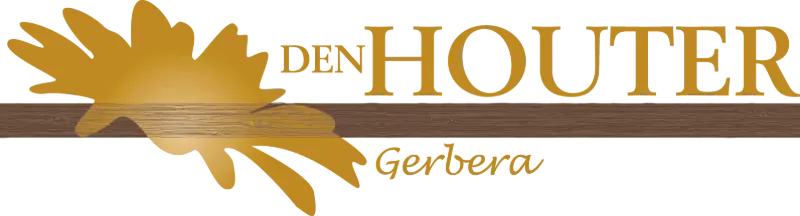 Den Houter Gerbera